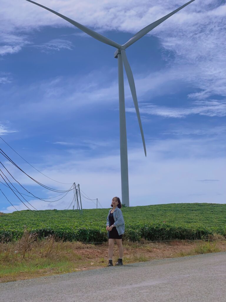  Đồi chè thì cũng chỉ có chè mà thôi, bên cạnh đó thì có rất nhiều tuabin gió để mọi người sống ảo