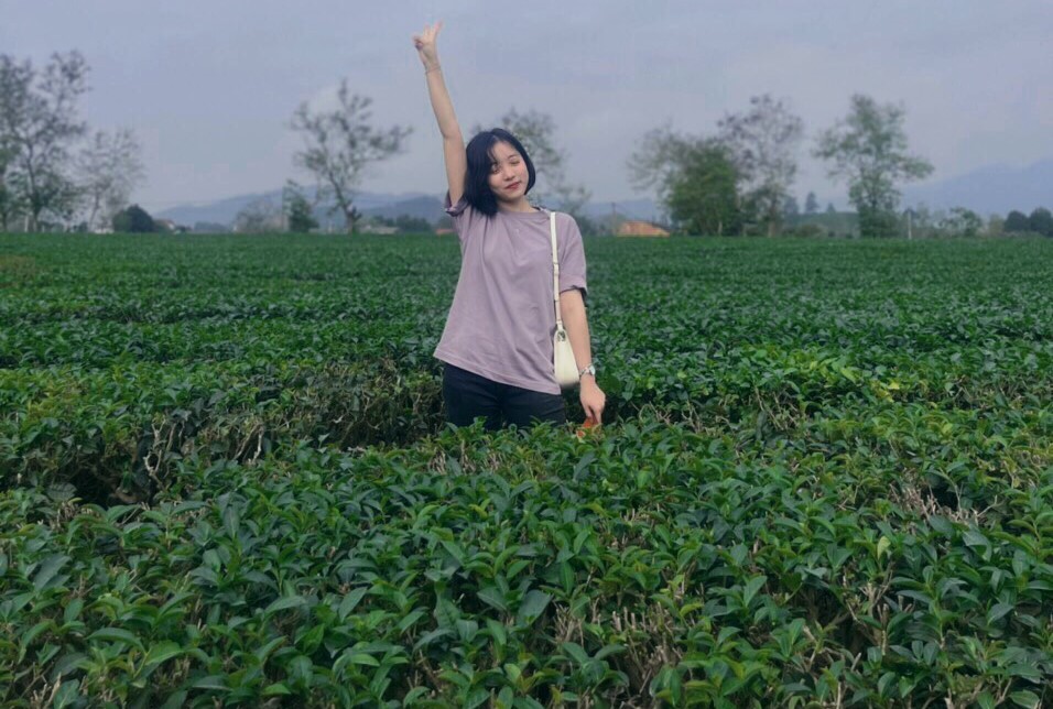 Review săn mây Tà Xùa 2 ngày 1 đêm, test nhân phẩm thành công 3 Check in Đồi chè ở Phú Thọ