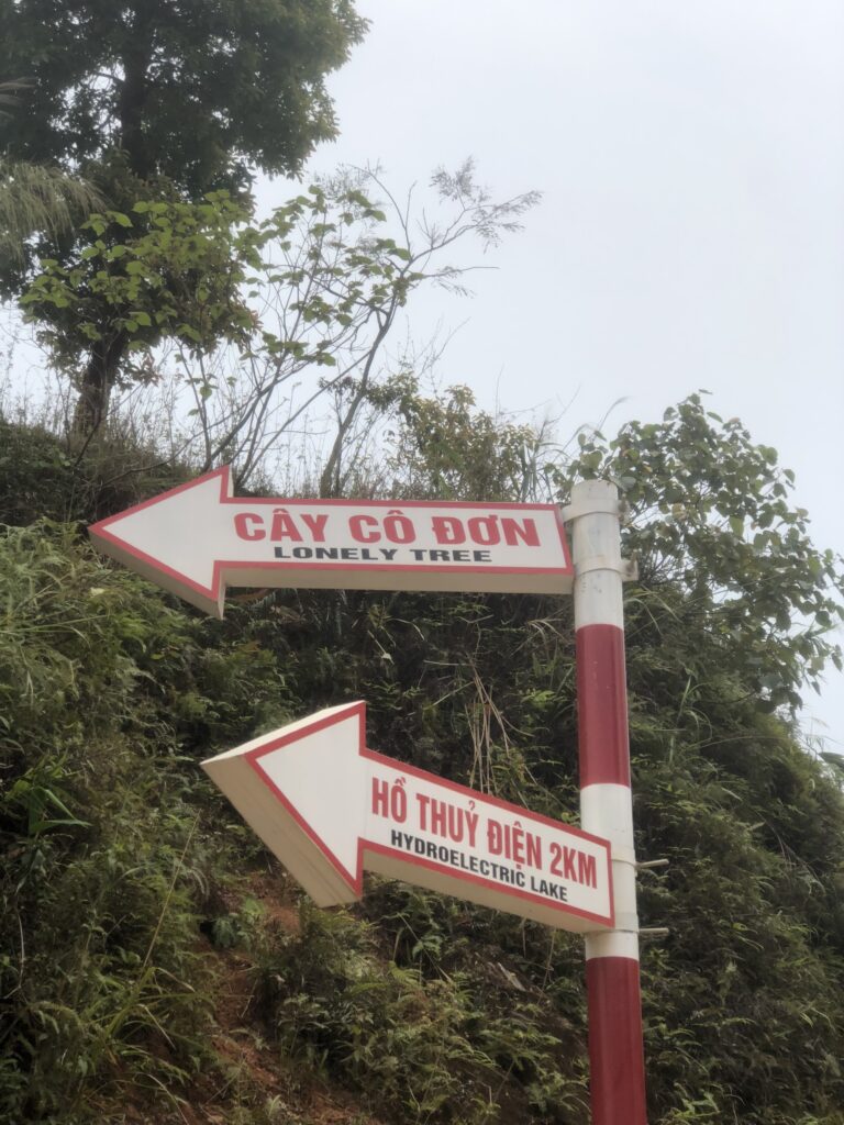 Review săn mây Tà Xùa 2 ngày 1 đêm, test nhân phẩm thành công 7 Biển chỉ dẫn vào cây cô đơn